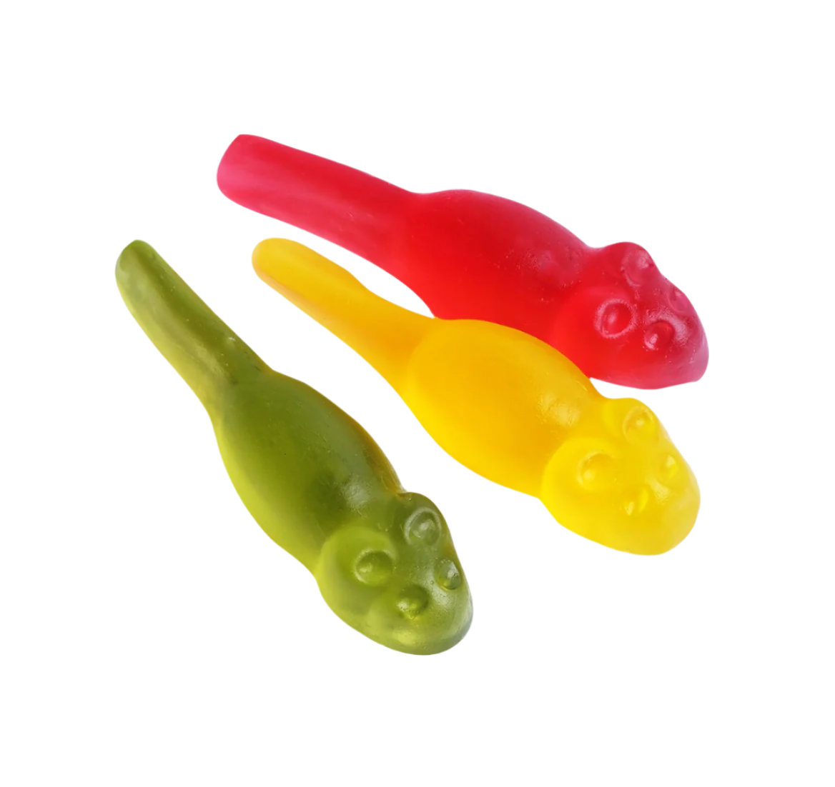 Geleråttor (Gelé rats)