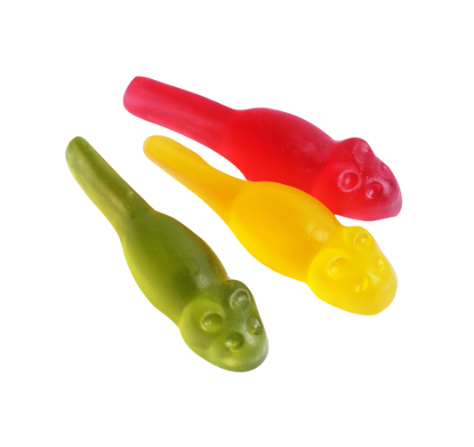 Geleråttor (Gelé rats)